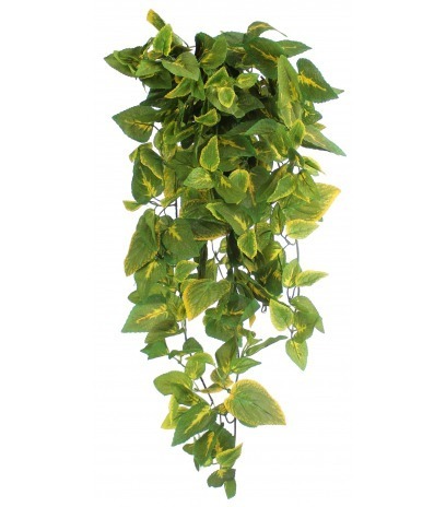 Coléus retombant artificiel vert jaune