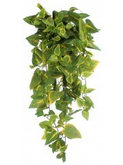 Coléus retombant artificiel vert jaune