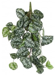 Chute de scindapsus pictus artificielle