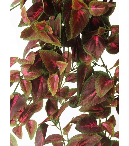 Chute de coléus artificiel rouge