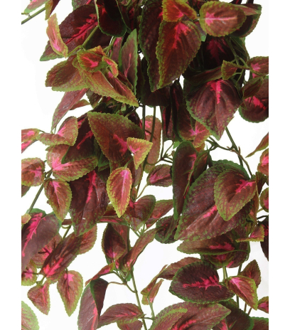 Chute de coléus artificiel rouge