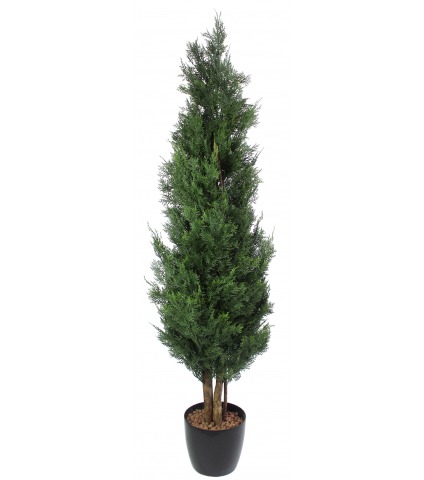 Cyprès artificiel Lawson