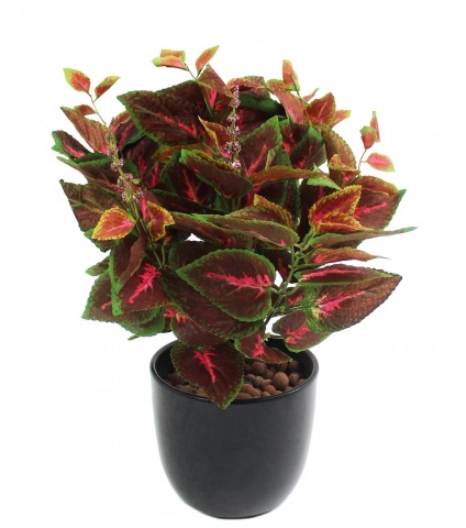 Coléus artificiel rouge