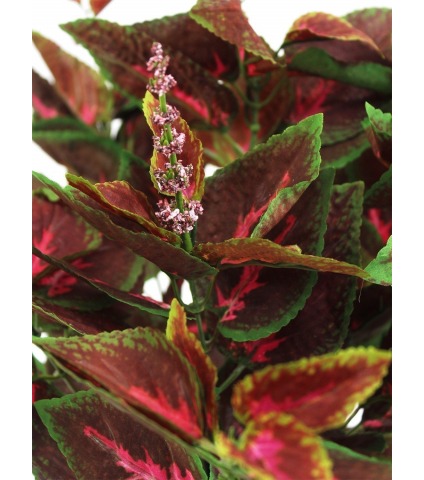 Coléus artificiel rouge