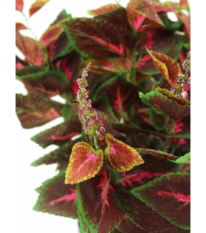 Coléus artificiel rouge