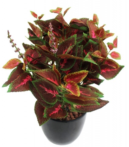 Coléus artificiel rouge