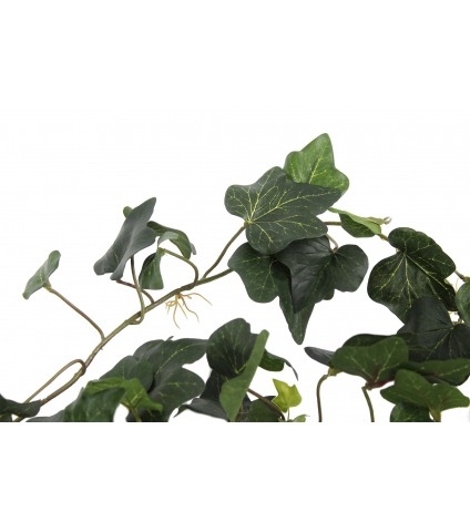 Grande guirlande de lierre