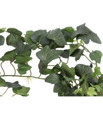 Grande guirlande de lierre