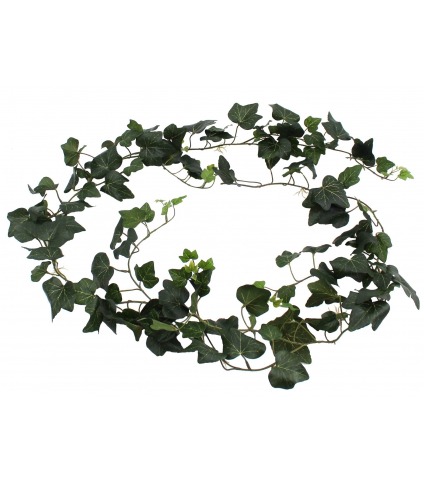 Grande guirlande de lierre