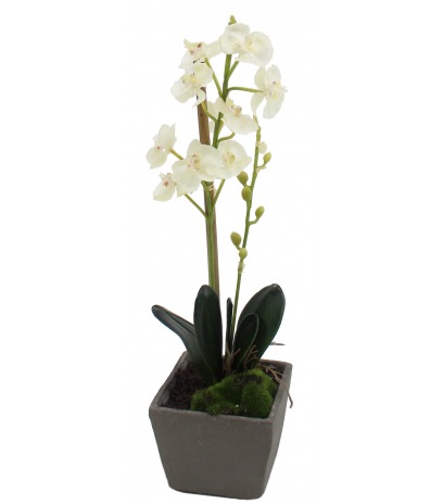 Phalaenopsis artificiel mini