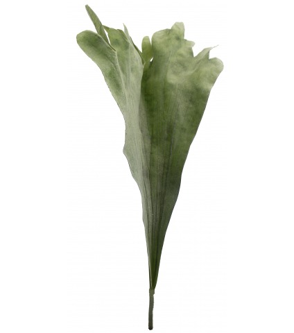 Fronde de platycerium artificielle