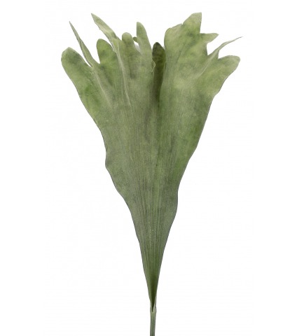 Fronde de platycerium artificielle