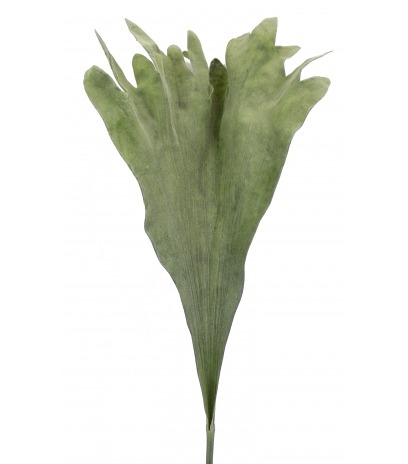 Fronde de platycerium artificielle