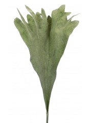 Fronde de platycerium artificielle
