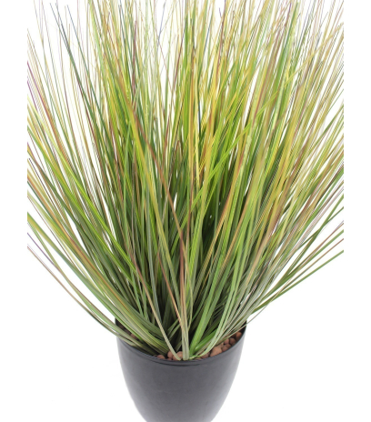 Herbe des prairies artificielle