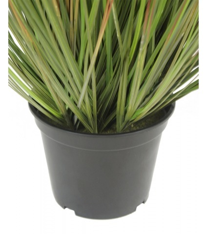 Herbe des prairies artificielle