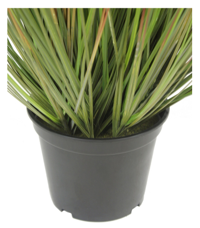 Herbe des prairies artificielle