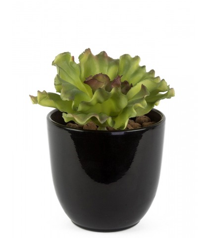 Mini aloe artificiel vert