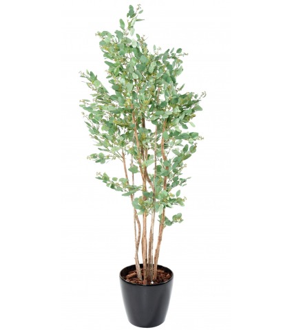 Eucalyptus artificiel baies