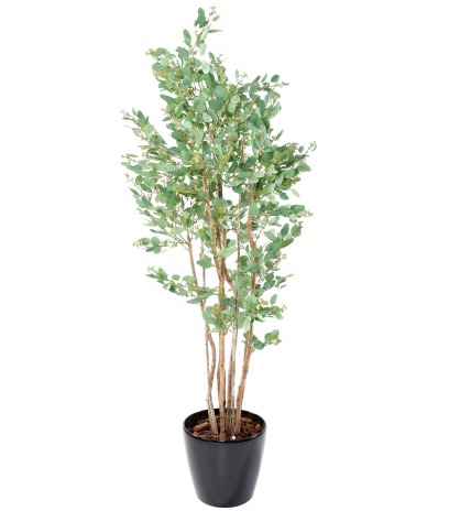 Eucalyptus artificiel baies