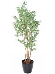 Eucalyptus artificiel baies