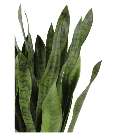 Sansevieria artificiel large