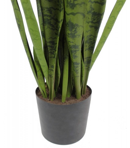 Sansevieria artificiel large