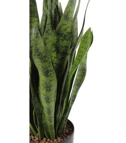 Sansevieria artificiel large