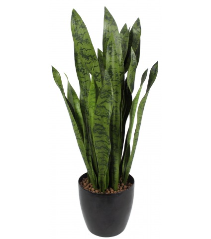 Sansevieria artificiel large