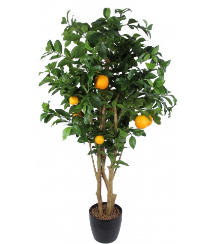 Oranger artificiel verger