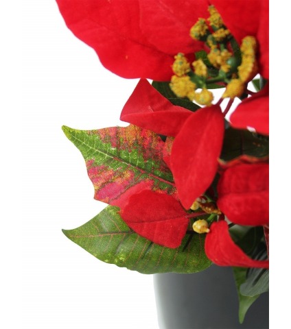 Poinsettia artificiel rouge