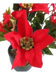 Poinsettia artificiel rouge