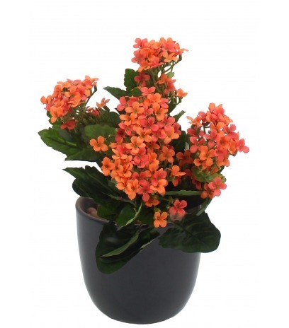 Kalanchoe artificiel rouge