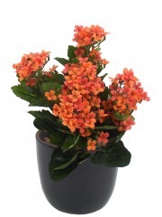 Kalanchoe artificiel rouge