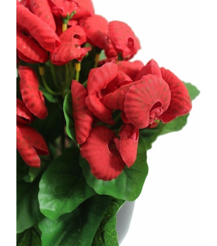 Calcéolaire artificielle rouge