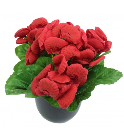 Calcéolaire artificielle rouge