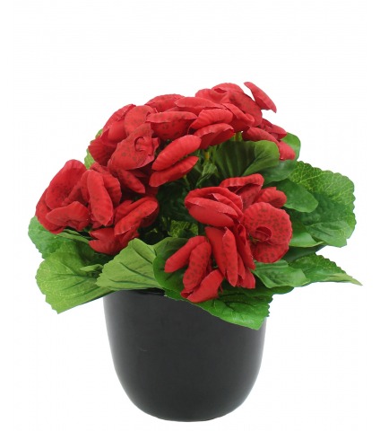 Calcéolaire artificielle rouge