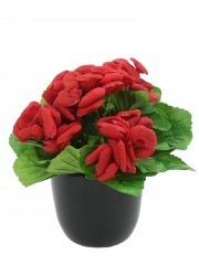 Calcéolaire artificielle rouge