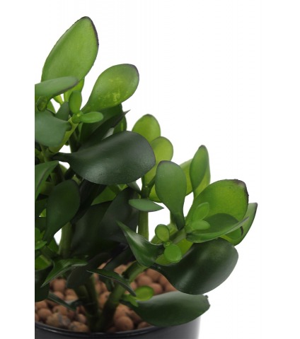 Arbre de jade artificiel