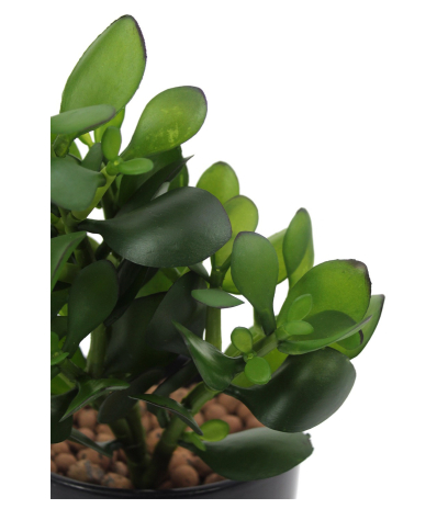 Arbre de jade artificiel