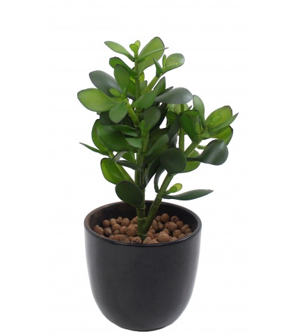 Arbre de jade artificiel