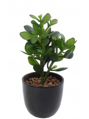 Arbre de jade artificiel