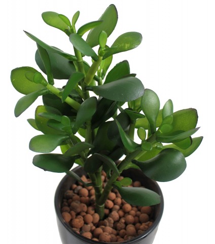 Arbre de jade artificiel