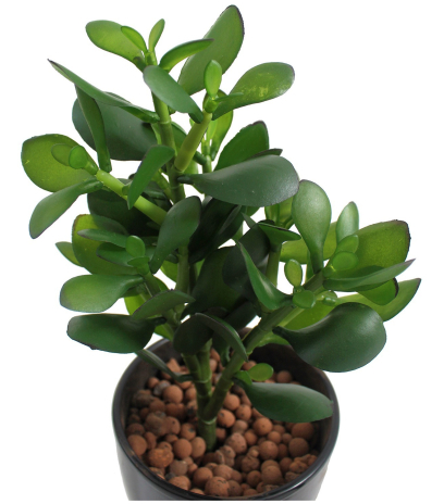 Arbre de jade artificiel