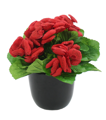 Calcéolaire artificielle rouge