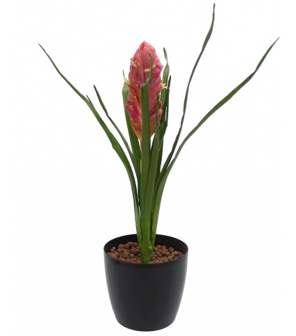 Tillandsia bulbosa artificiel