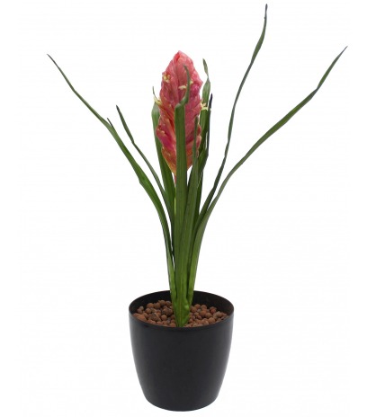 Tillandsia bulbosa artificiel