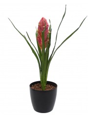 Tillandsia bulbosa artificiel