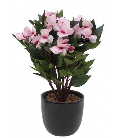 Balsamine artificielle rose