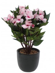 Balsamine artificielle rose